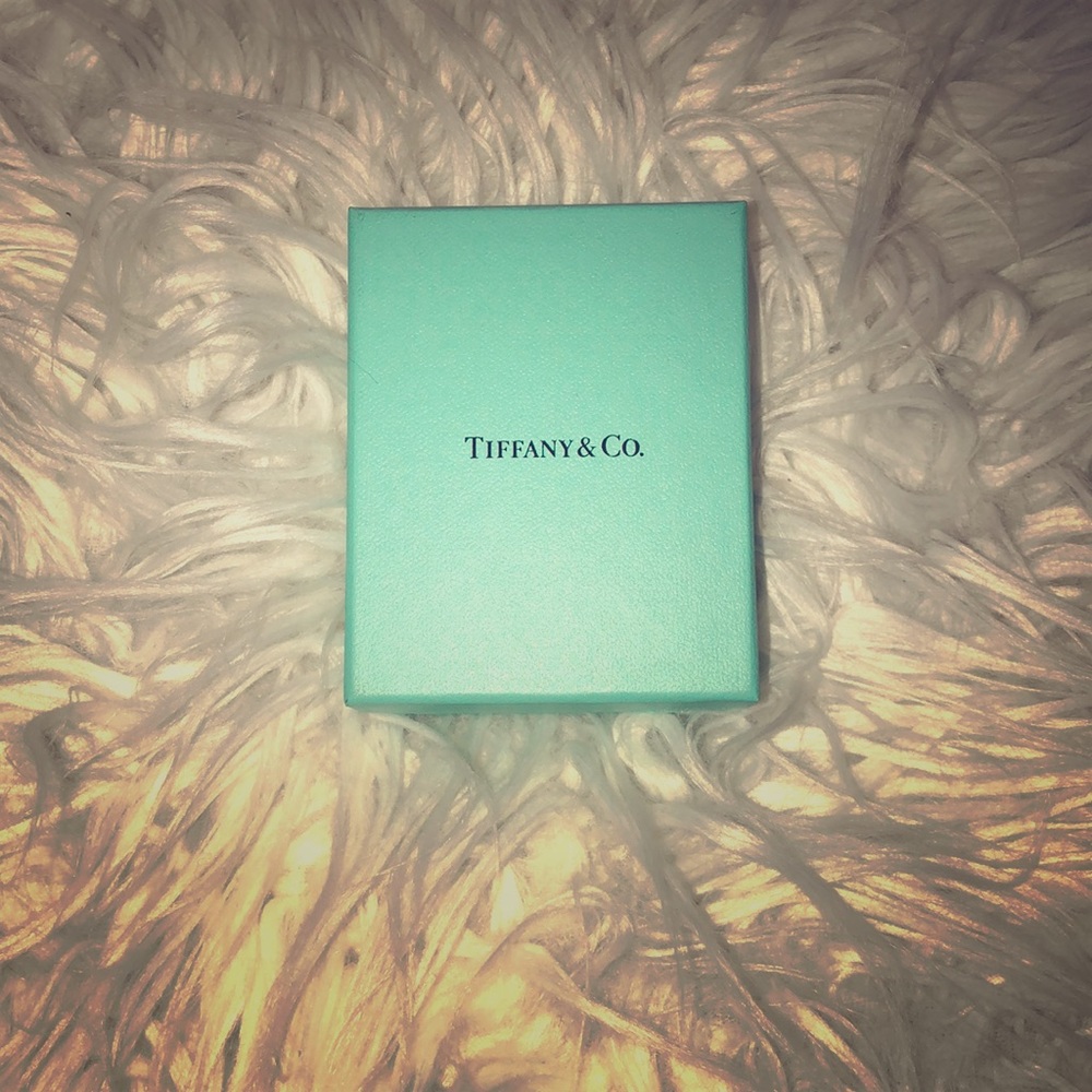 Tiffany & Co Gift Box